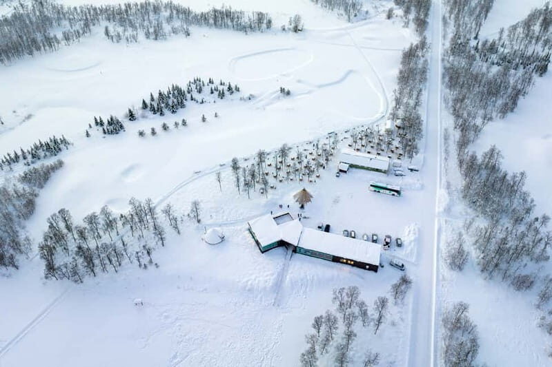 From Tromsø: Husky Experience with Self-Drive Dog Sled Ride - An In-Depth Look at the Husky Self-Drive Experience