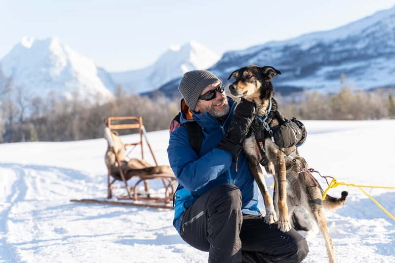 From Tromsø: Husky Experience with Self-Drive Dog Sled Ride - Authenticity and Value: Why This Tour Resonates