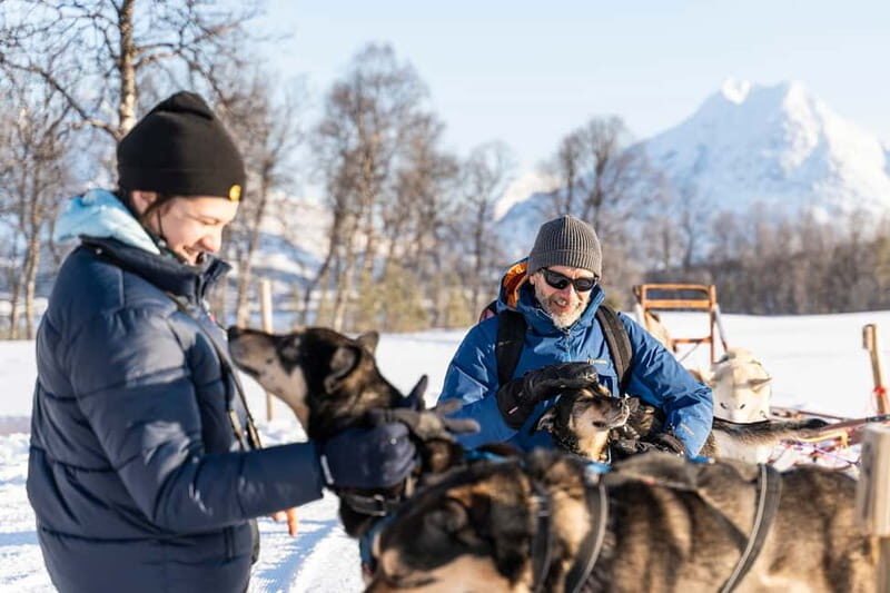 From Tromsø: Husky Experience with Self-Drive Dog Sled Ride - The Sum Up: Who Will Love This Experience?