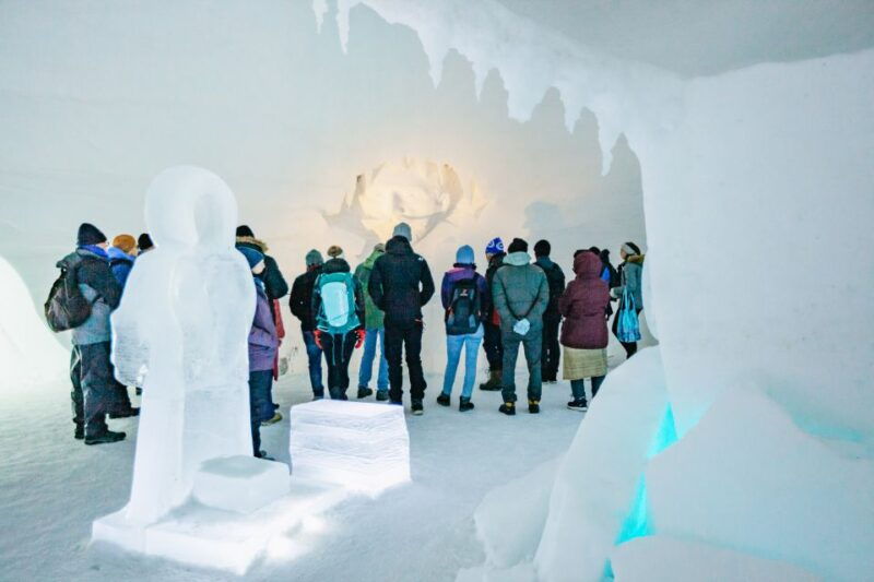 from-tromso-ice-domes-snow-park-and-wilderness-experience