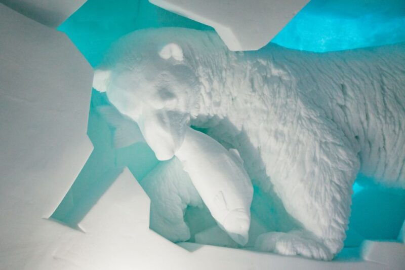 from-tromso-ice-domes-snow-park-and-wilderness-experience