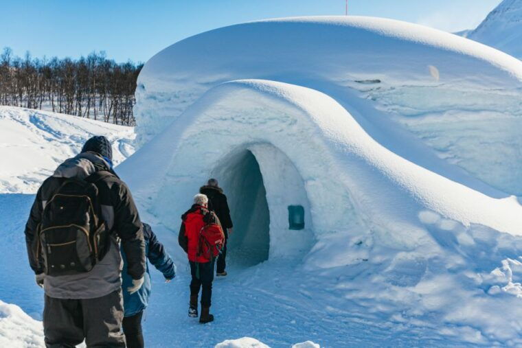 from-tromso-ice-domes-snow-park-and-wilderness-experience