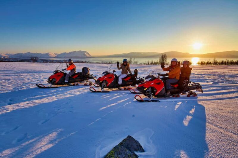 From Tromsø: Lyngen Alps Guided Snowmobile Tour/ afternoon - The Sum Up