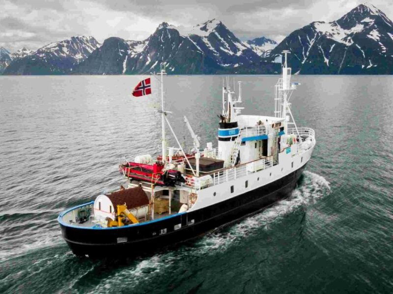 from-tromso-northern-lights-cruise-on-a-cozy-vintage-vessel