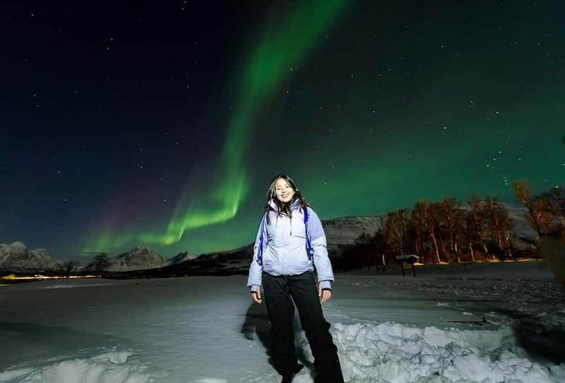 From Tromsø: Northern Lights Guided Bus Chase - Key Points