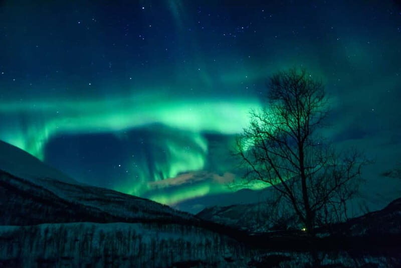 From Tromsø: Northern Lights Guided Bus Chase - Who Is This Tour Best For?
