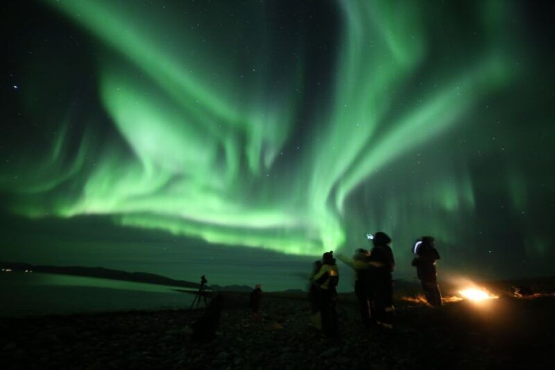 from-tromso-northern-lights-photography-tour