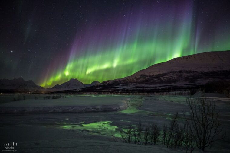 from-tromso-northern-lights-tour