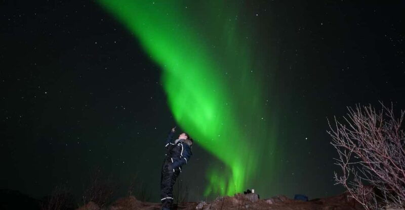 from-tromso-northern-lights-tour-with-hot-drinks-and-photos