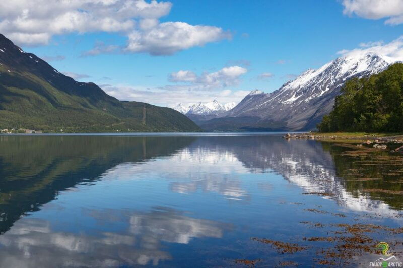 from-tromso-norwegian-fjords-half-day-tour