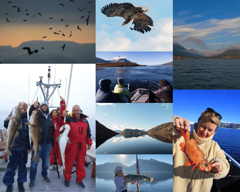 from-tromso-polar-fishing-adventure
