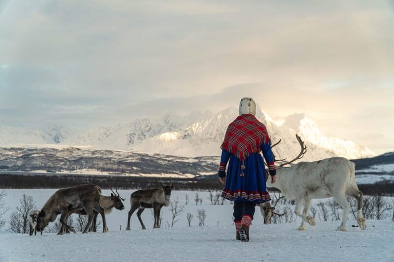 from-tromso-reindeer-feeding-and-sami-experience-with-lunch