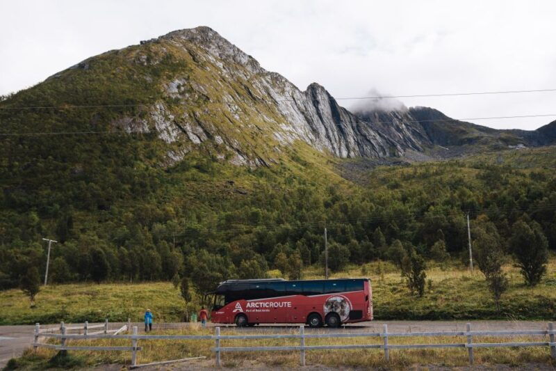 from-tromso-self-guided-fjord-tour-to-senja-and-local-lunch
