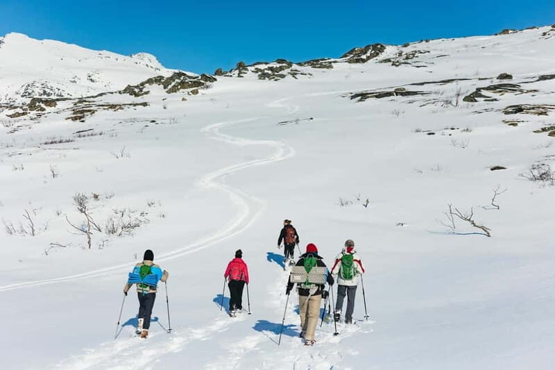 From Tromsø: Snowshoeing Hike with Picnic Lunch and Photos - Final Thoughts