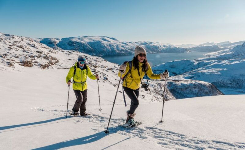 from-tromso-snowshoeing-hike-with-picnic-lunch-and-photos