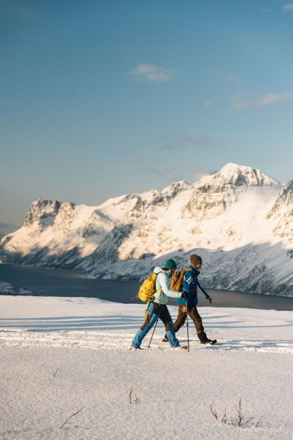 from-tromso-snowshoeing-hike-with-picnic-lunch-and-photos