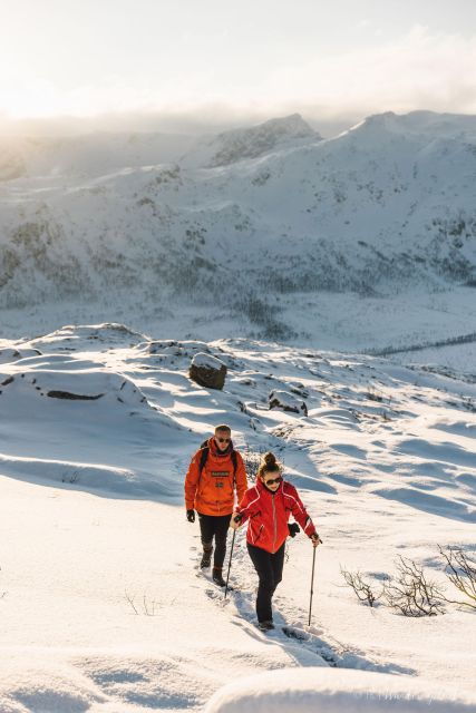 from-tromso-snowshoeing-hike-with-picnic-lunch-and-photos