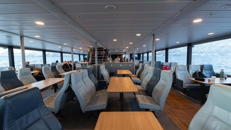 From Tromsø: Whale Watching Safari on High-Speed Catamaran - Key Points