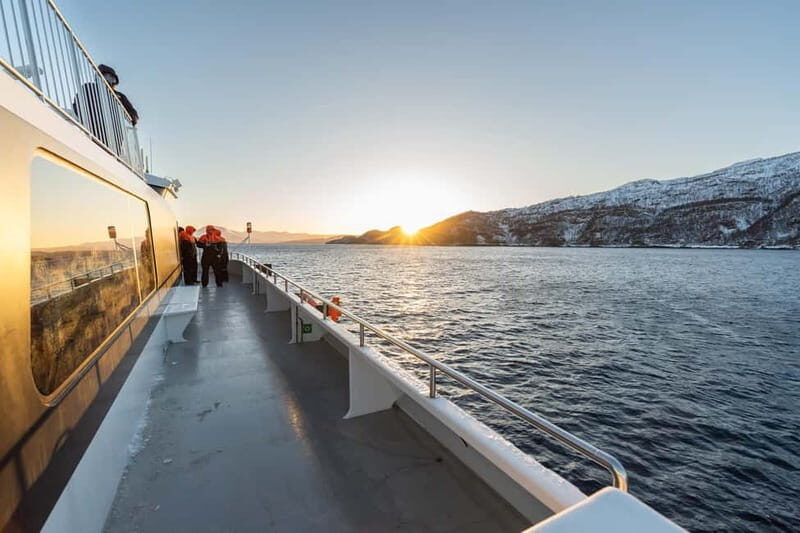 From Tromsø: Whale Watching Safari on High-Speed Catamaran - The Reality of the Whale Watching Experience