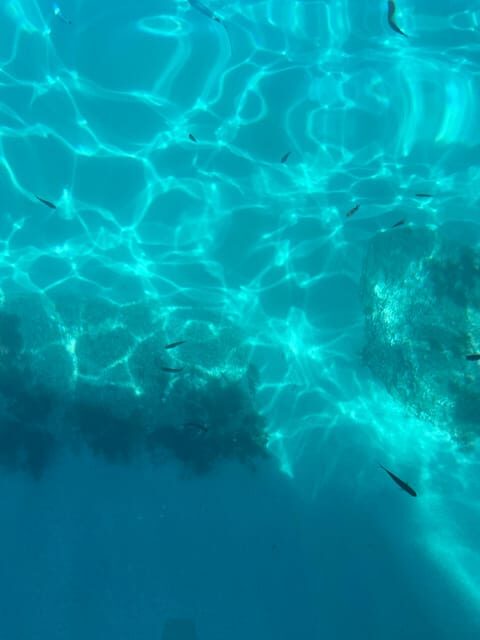 From Tropea: Max 8 People esclusive Trip Costa degli Dei - Practical Details