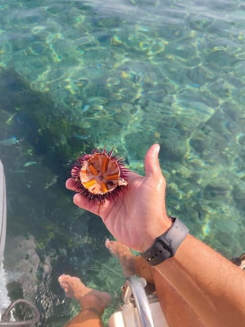 From Tropea: Max 8 People esclusive Trip Costa degli Dei - FAQs