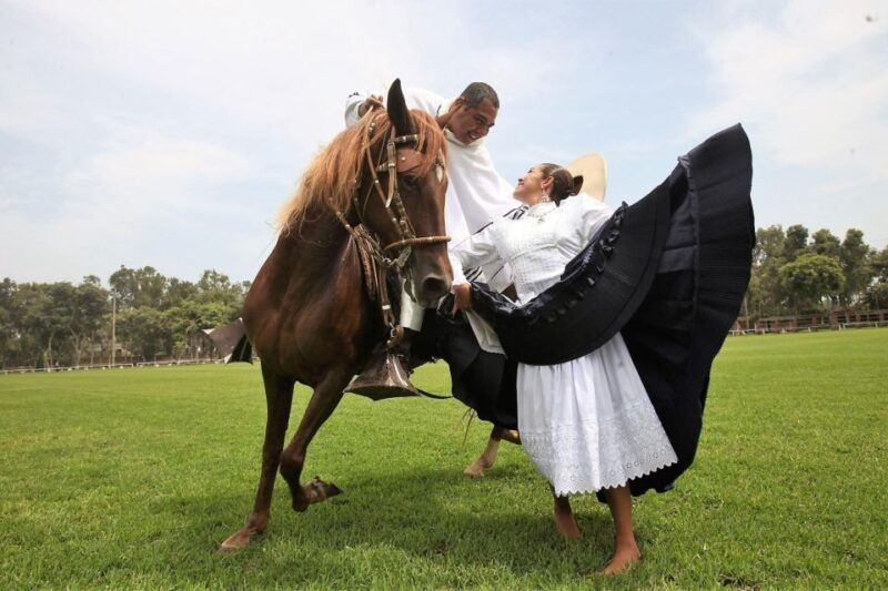 from-trujillo-marinera-show-with-peruvian-paso-horses