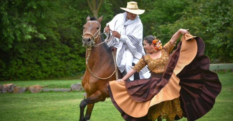 from-trujillo-marinera-show-with-peruvian-paso-horses