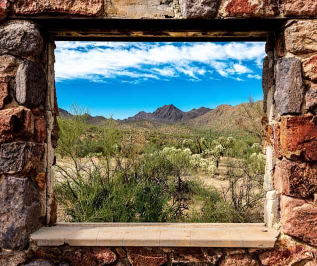 From Tucson: Sonoran Desert with Desert Museum Ticket - Key Points