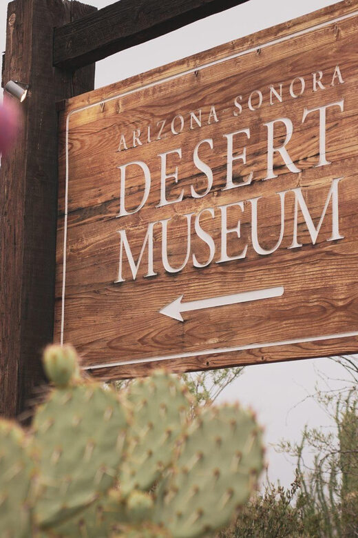 From Tucson: Sonoran Desert with Desert Museum Ticket - Final Thoughts