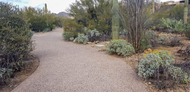 from-tucson-sonoran-desert-with-desert-museum-ticket