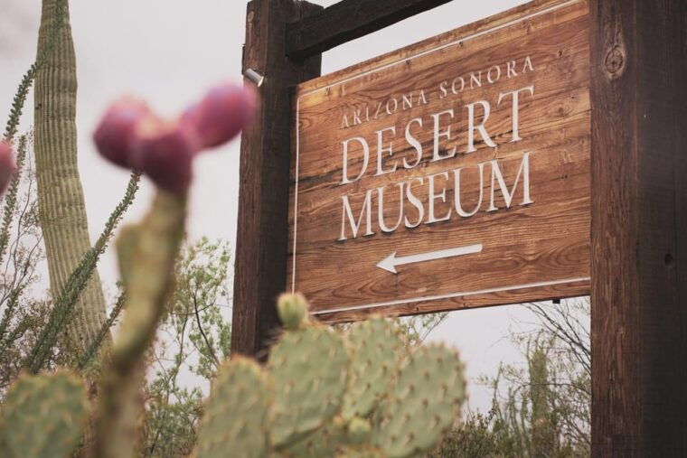 from-tucson-sonoran-desert-with-desert-museum-ticket