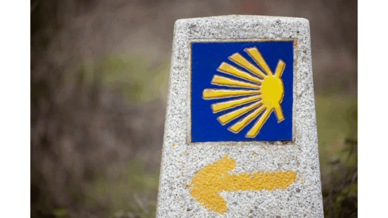 from-tui-9-day-guided-camino-walking-tour-to-santiago