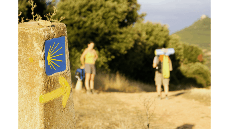 from-tui-9-day-guided-camino-walking-tour-to-santiago