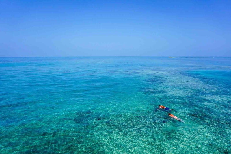 From Tulum: Cenote Riviera Maya & Snorkel Excursion - Exploring the Tulum: Cenote Riviera Maya & Snorkel Excursion  
