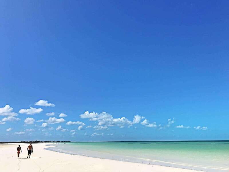 From Tulum: Holbox & Isla Pasion Tour with Cenote - Key Points