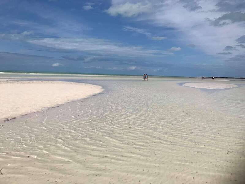 From Tulum: Holbox & Isla Pasion Tour with Cenote - An In-depth Look at the Tour