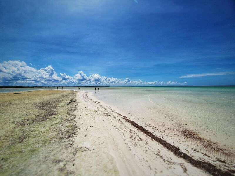 From Tulum: Holbox & Isla Pasion Tour with Cenote - The Boat Ride & Cenote Yalahau