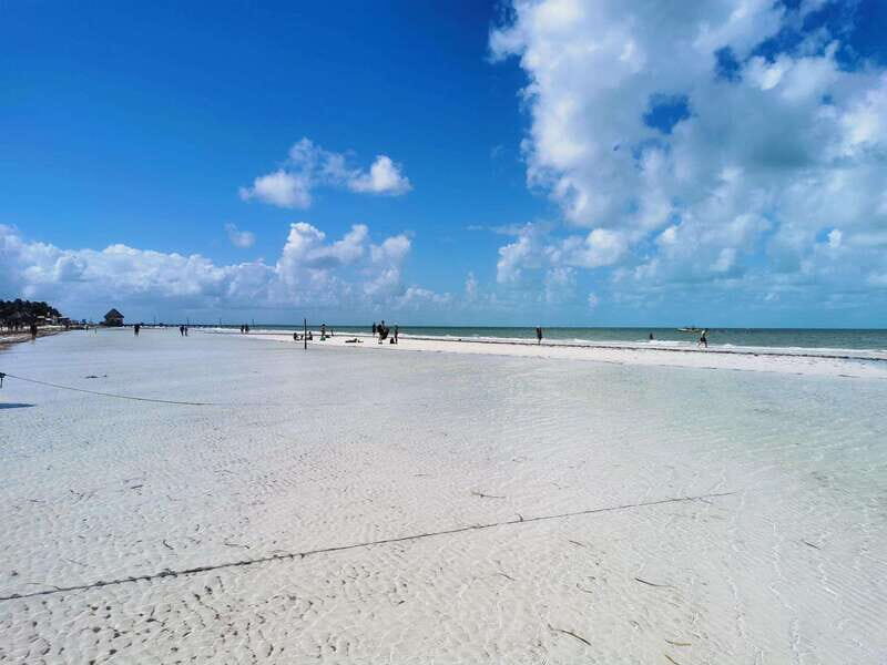 From Tulum: Holbox & Isla Pasion Tour with Cenote - What Makes This Tour Stand Out?
