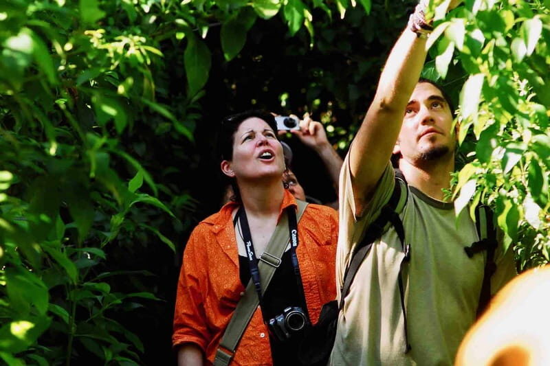 From Tulum: Sian KaAn Muyil Lagoon Tour - Ecological Wonders of Sian Kaan  