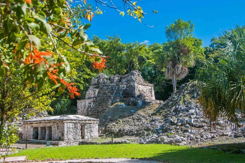 From Tulum: Sian KaAn Muyil Lagoon Tour - Floating in the Lazy River  