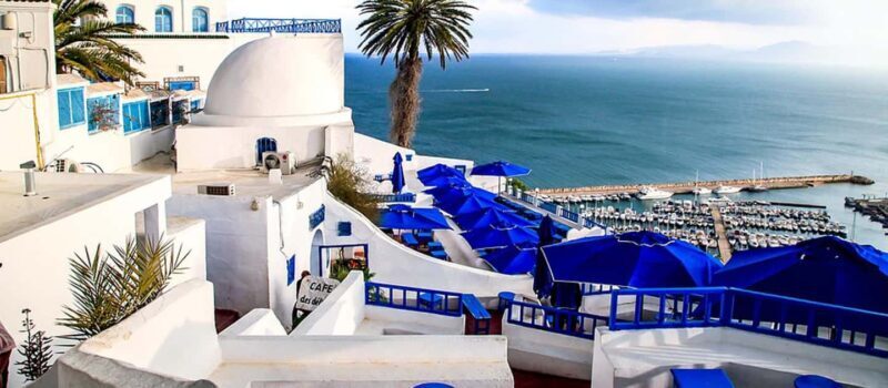 From Tunis/Sousse: Medina Carthage, Sidi Boussaid Tour - Key Points