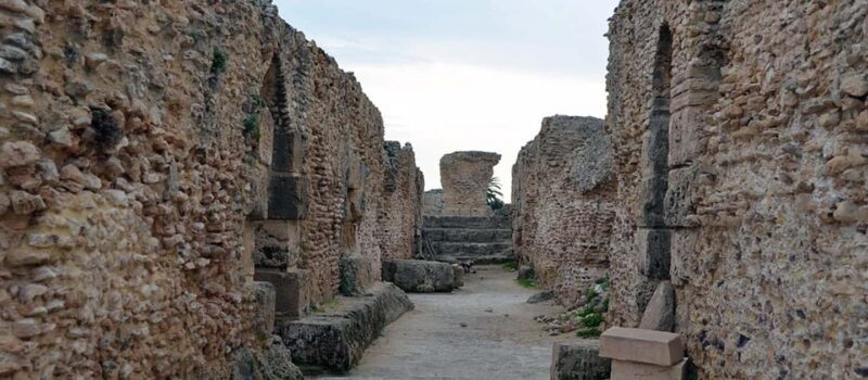 From Tunis/Sousse: Medina Carthage, Sidi Boussaid Tour - Practical Details & Travel Insights