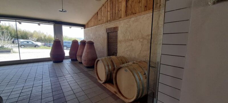 from-turin-food-and-wine-guided-tour-in-canavese