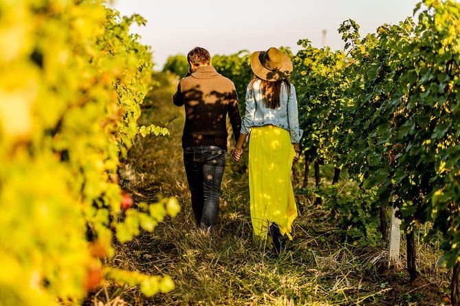 from-turin-private-langhe-wine-tour-with-transfer-and-lunch