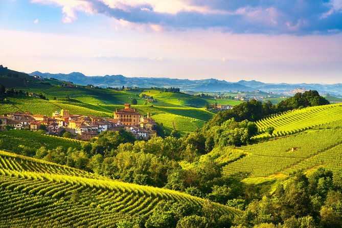 from-turin-private-langhe-wine-tour-with-transfer-and-lunch