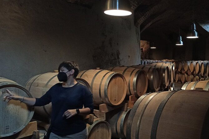 from-turin-private-langhe-wine-tour-with-transfer-and-lunch