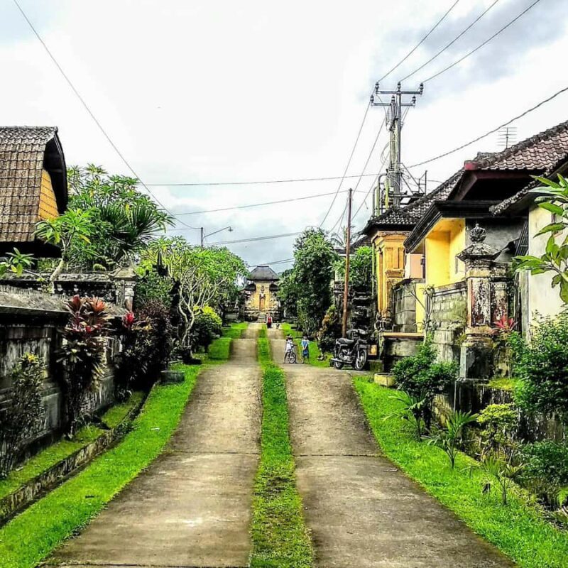 From Ubud: Balinese Home Visit and Firefly Experience - Who Would Love This Tour?