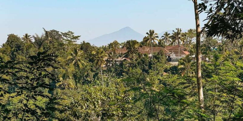 from-ubud-downhill-bike-tour-with-rice-terraces-and-meal