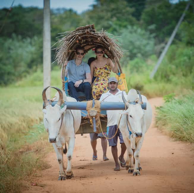 From Udaipur: Authentic Village Safari Experience - FAQ