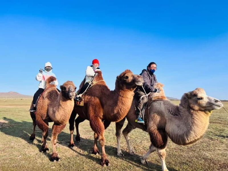 From Ulaanbaatar: 2-Day Kharkhorin and Elsen Tasarkhai Tour - The Experience: What You’ll Really Get